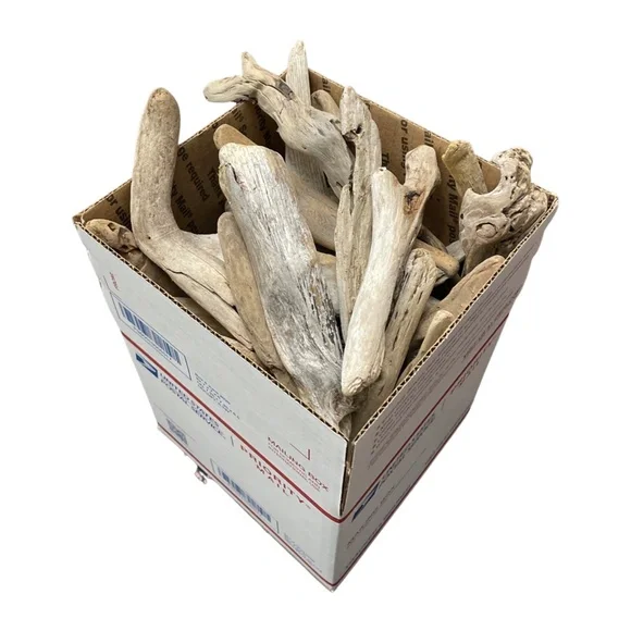 Oregon Coast Driftwood Bundle of 50 Pieces (4 Inches to 6 Inches) - Picture 2 of 14